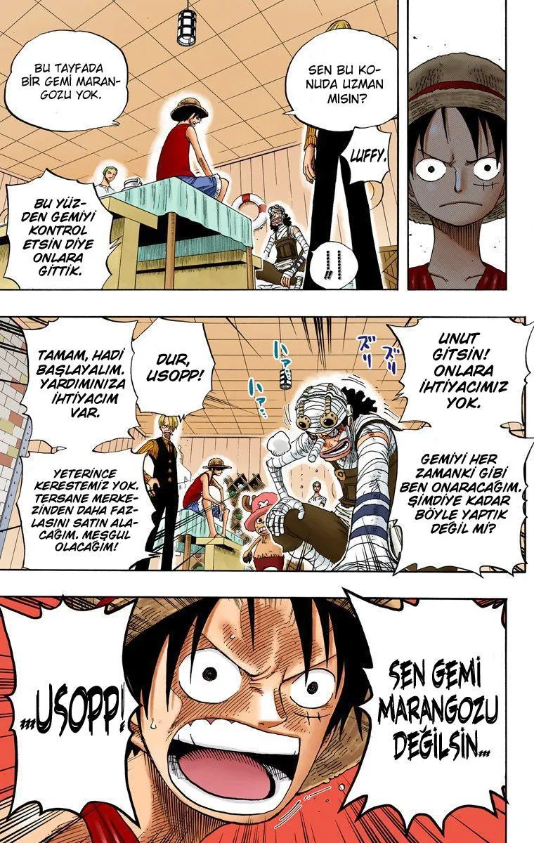 One Piece [Renkli] - Sayfa 12