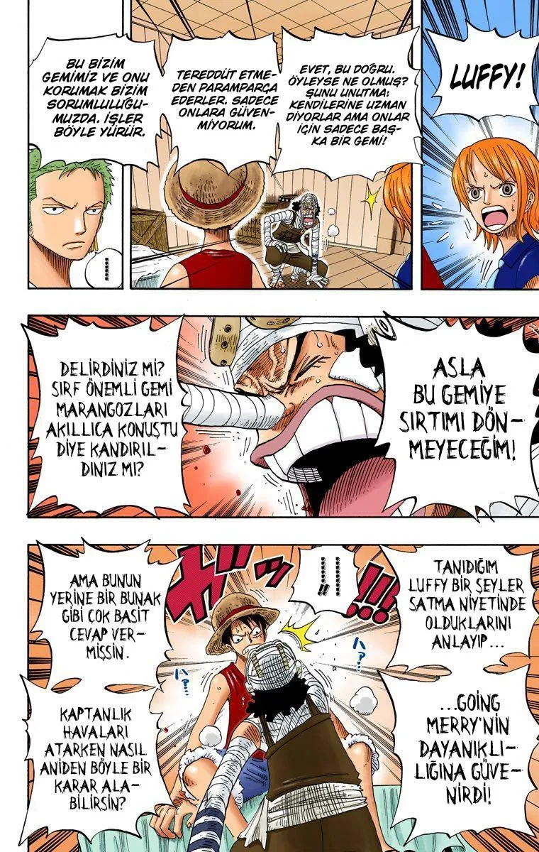 One Piece [Renkli] - Sayfa 13