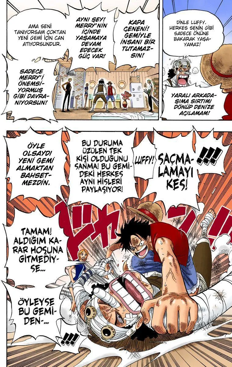 One Piece [Renkli] - Sayfa 15