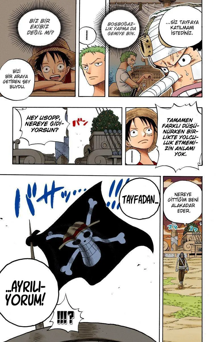 One Piece [Renkli] - Sayfa 18