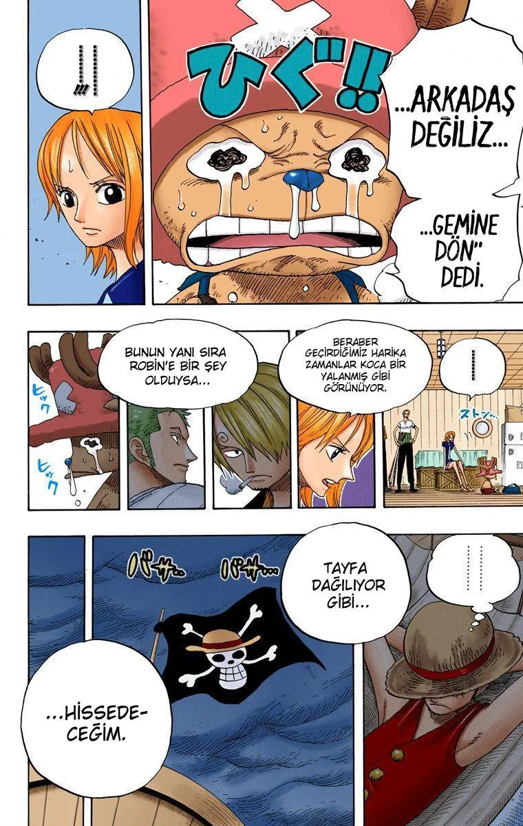 One Piece [Renkli] - Sayfa 7