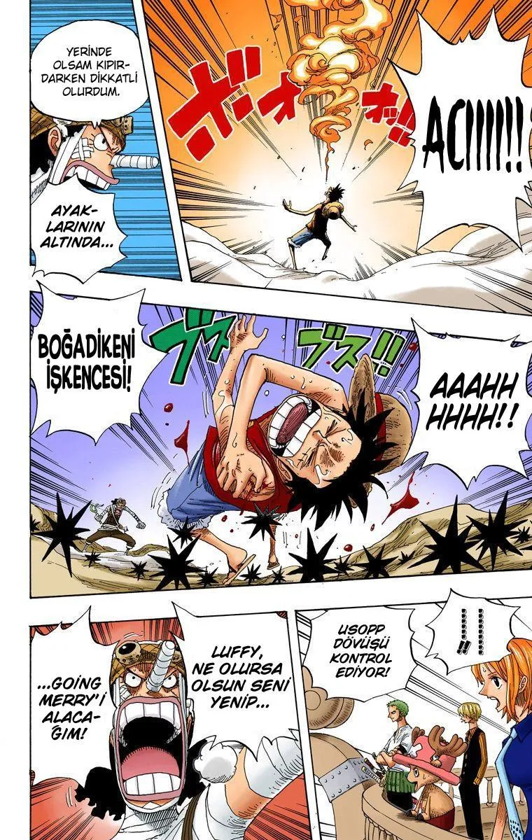 One Piece [Renkli] - Sayfa 14