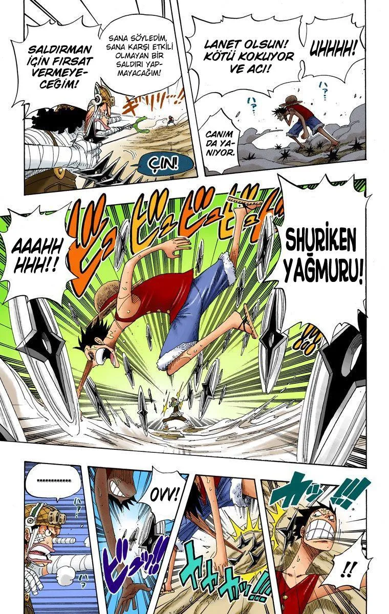 One Piece [Renkli] - Sayfa 15