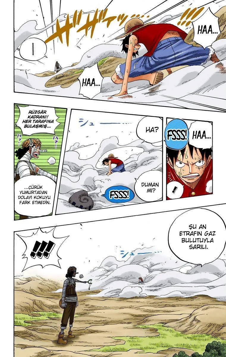 One Piece [Renkli] - Sayfa 16