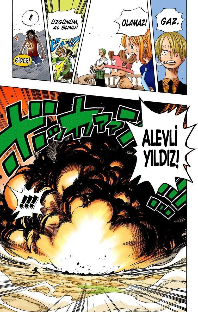 One Piece [Renkli] - Sayfa 17