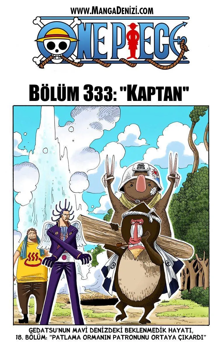 One Piece [Renkli] - Sayfa 2