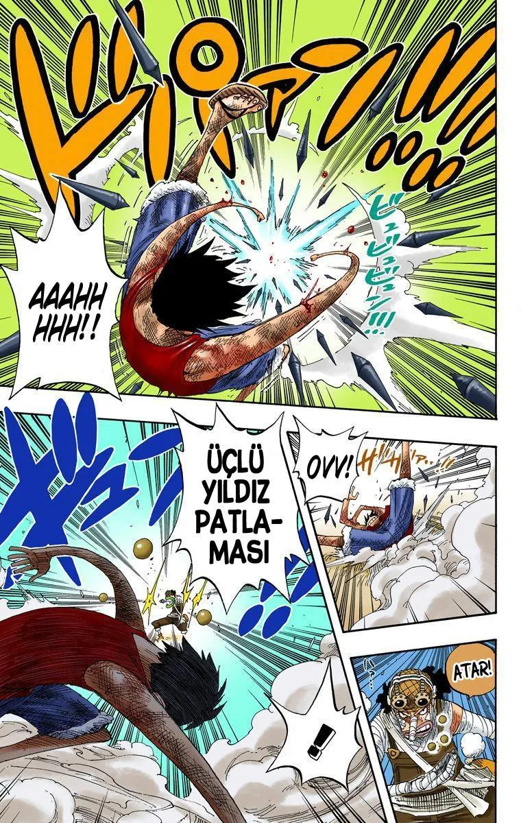 One Piece [Renkli] - Sayfa 6