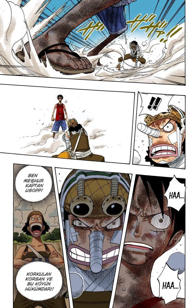 One Piece [Renkli] - Sayfa 10