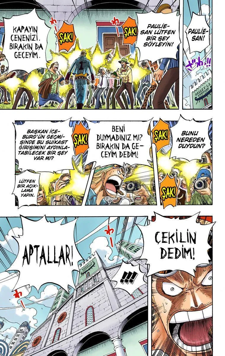 One Piece [Renkli] - Sayfa 17