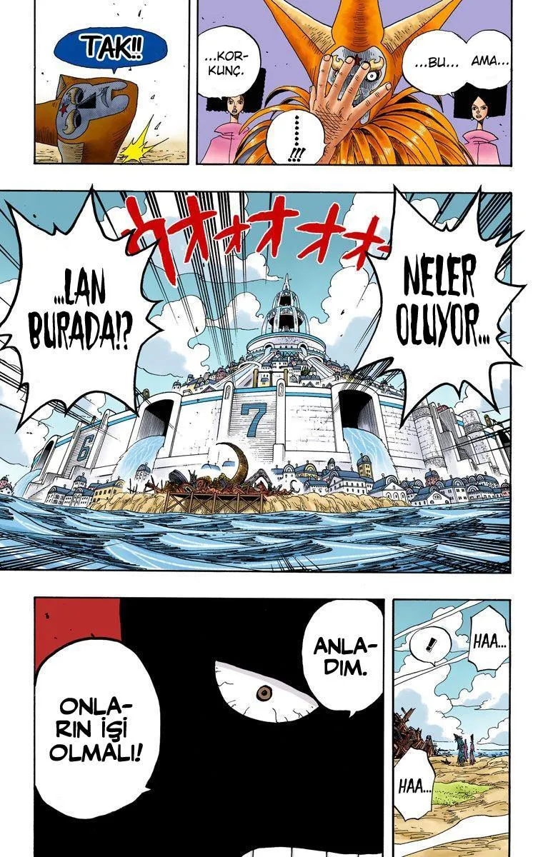 One Piece [Renkli] - Bölüm 0334 - Sayfa 19
