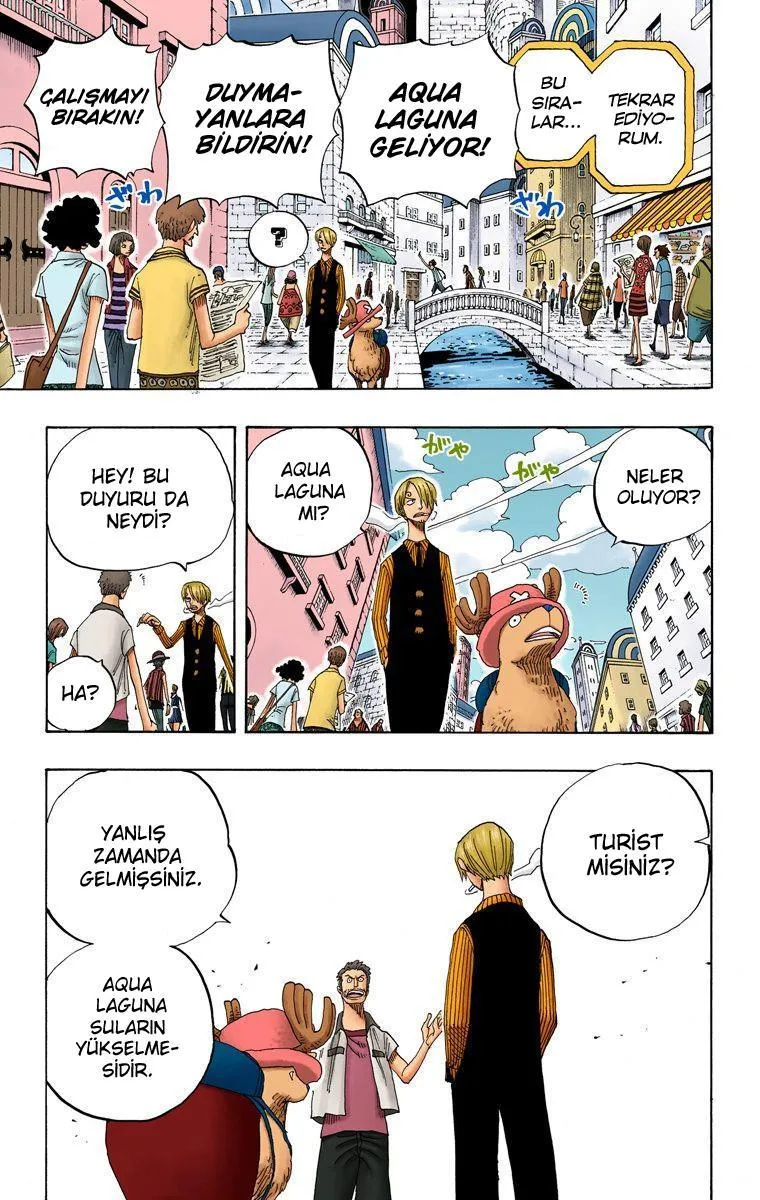 One Piece [Renkli] - Sayfa 8