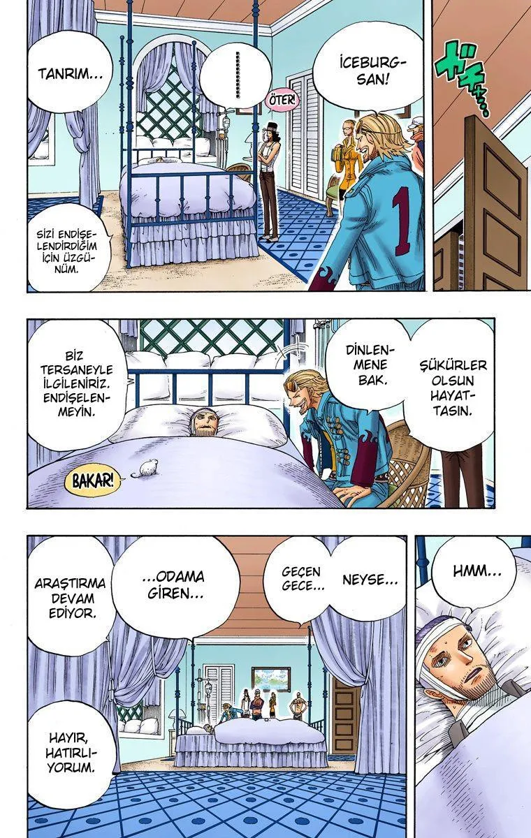 One Piece [Renkli] - Sayfa 18