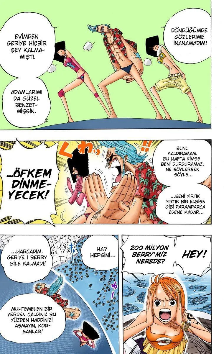 One Piece [Renkli] - Sayfa 4