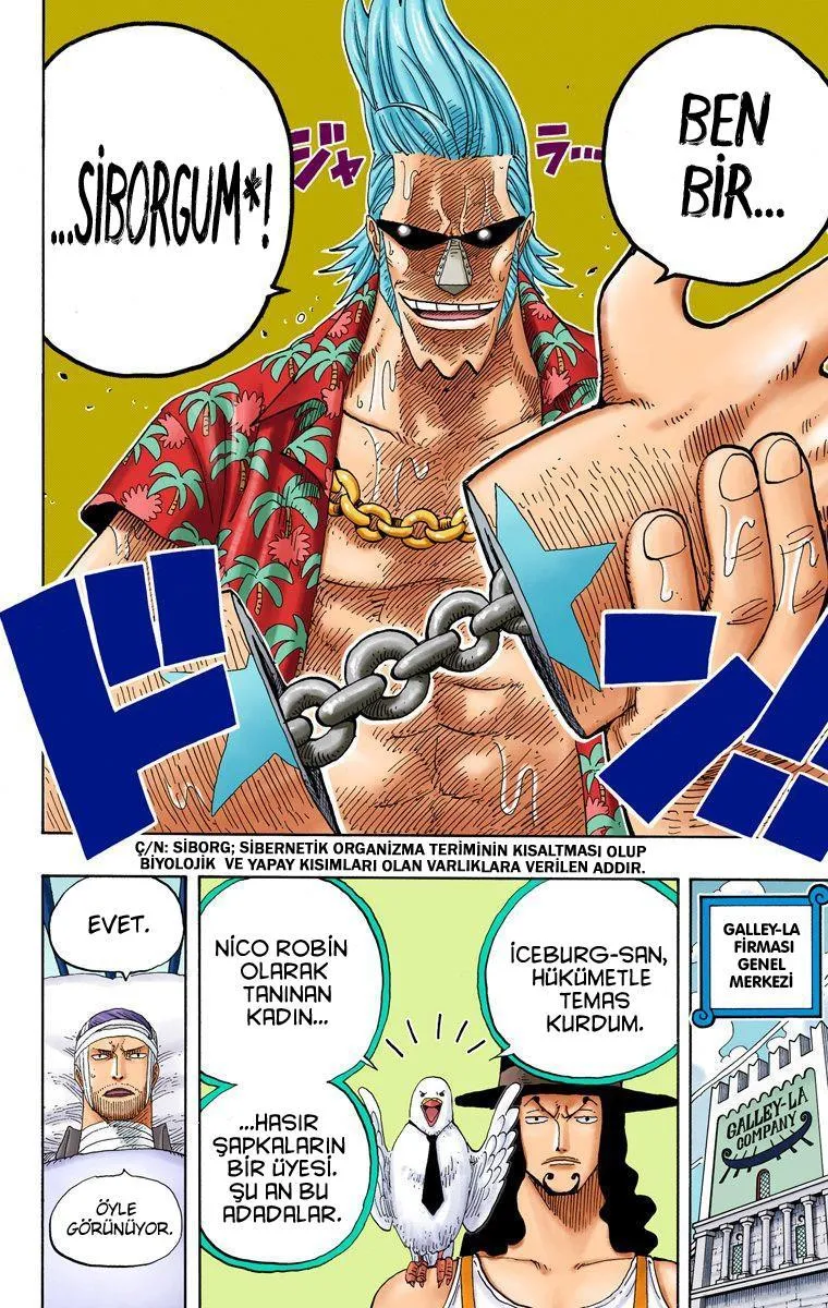 One Piece [Renkli] - Sayfa 11