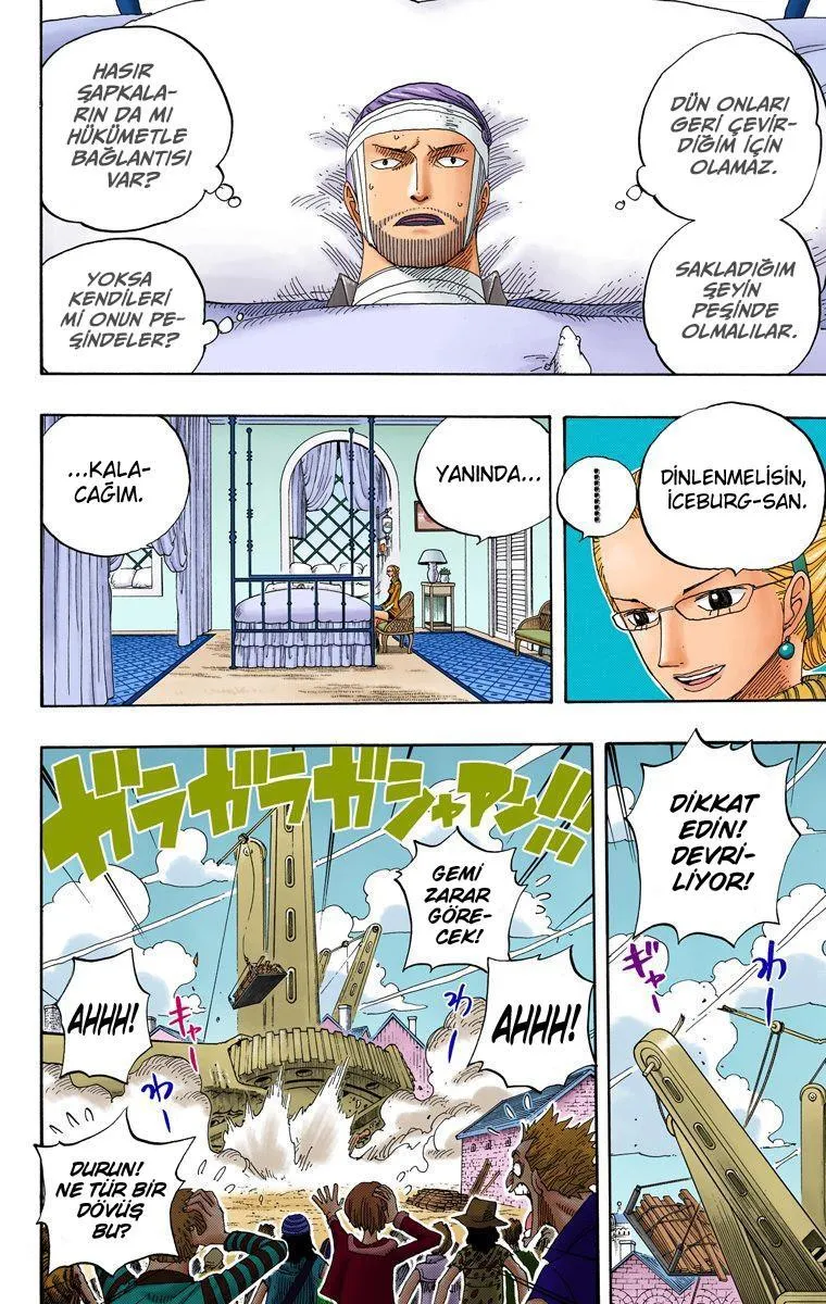 One Piece [Renkli] - Sayfa 15