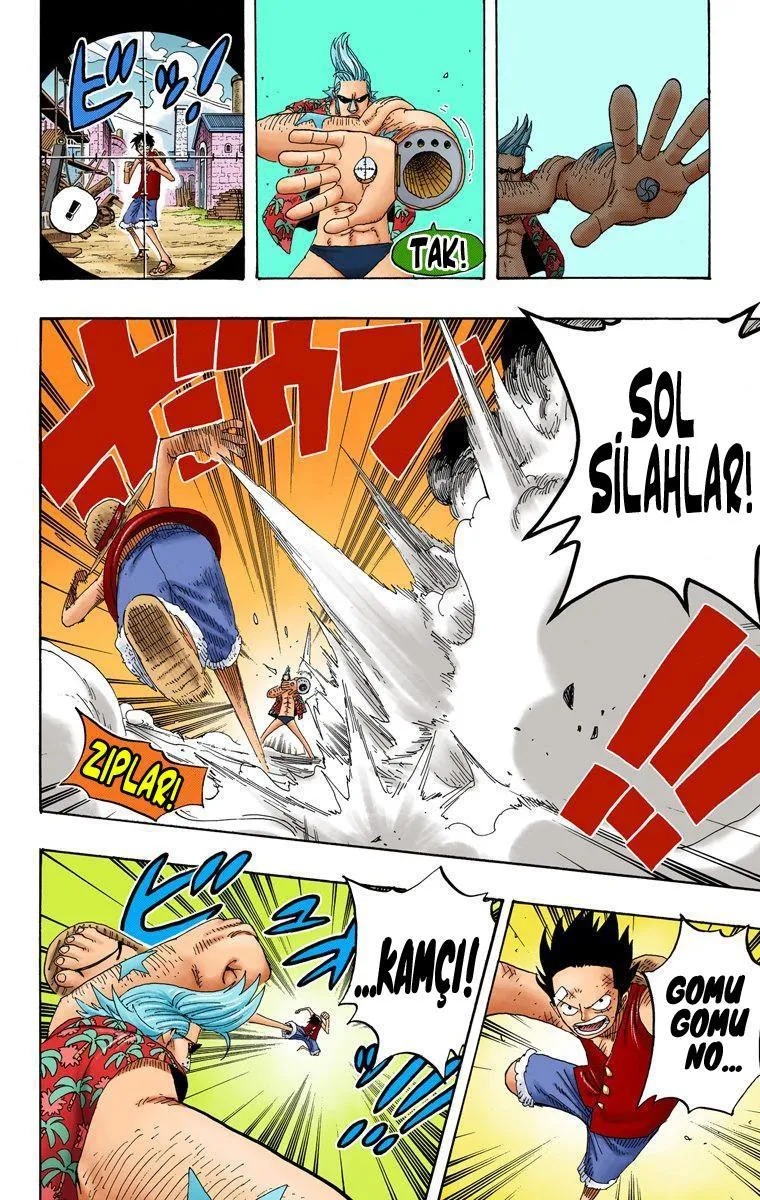 One Piece [Renkli] - Sayfa 17