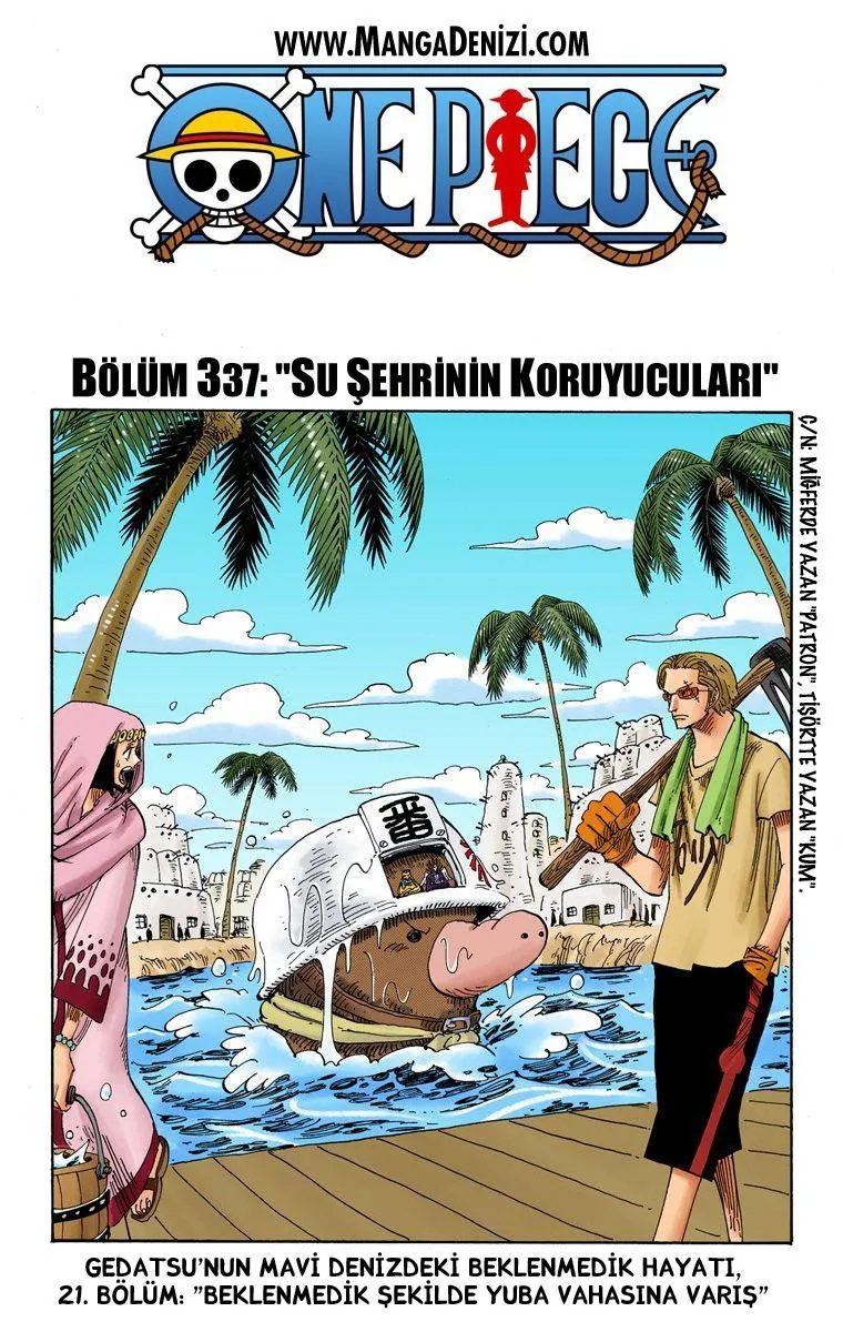 One Piece [Renkli] - Sayfa 2