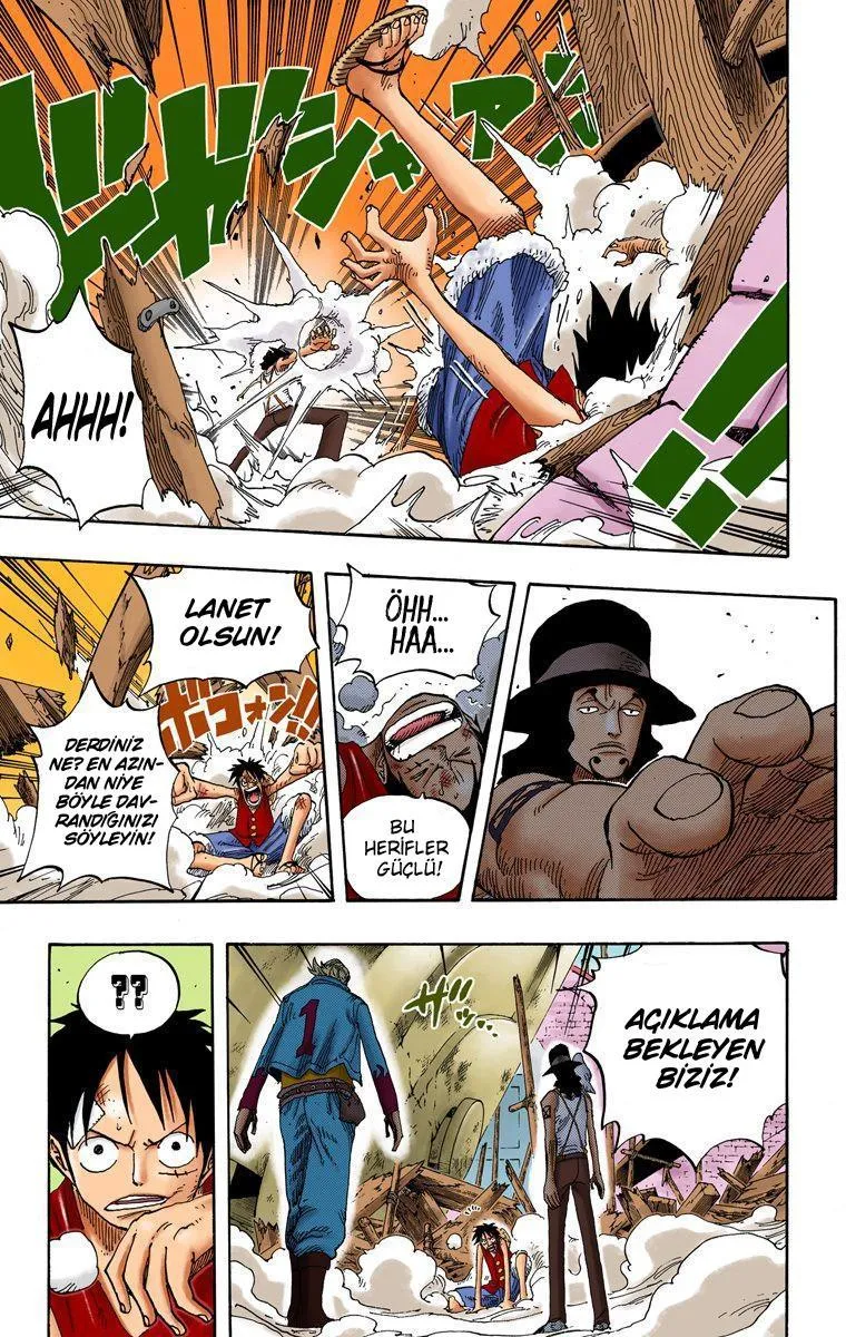 One Piece [Renkli] - Sayfa 14