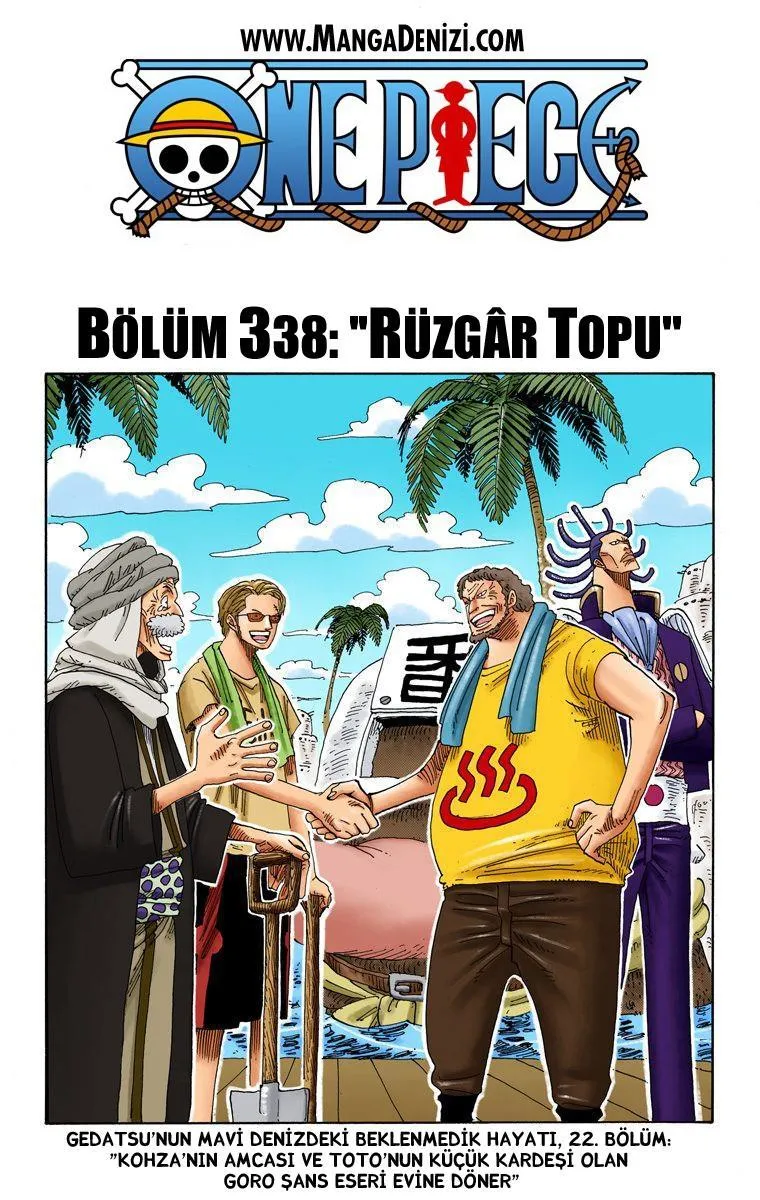 One Piece [Renkli] - Sayfa 2