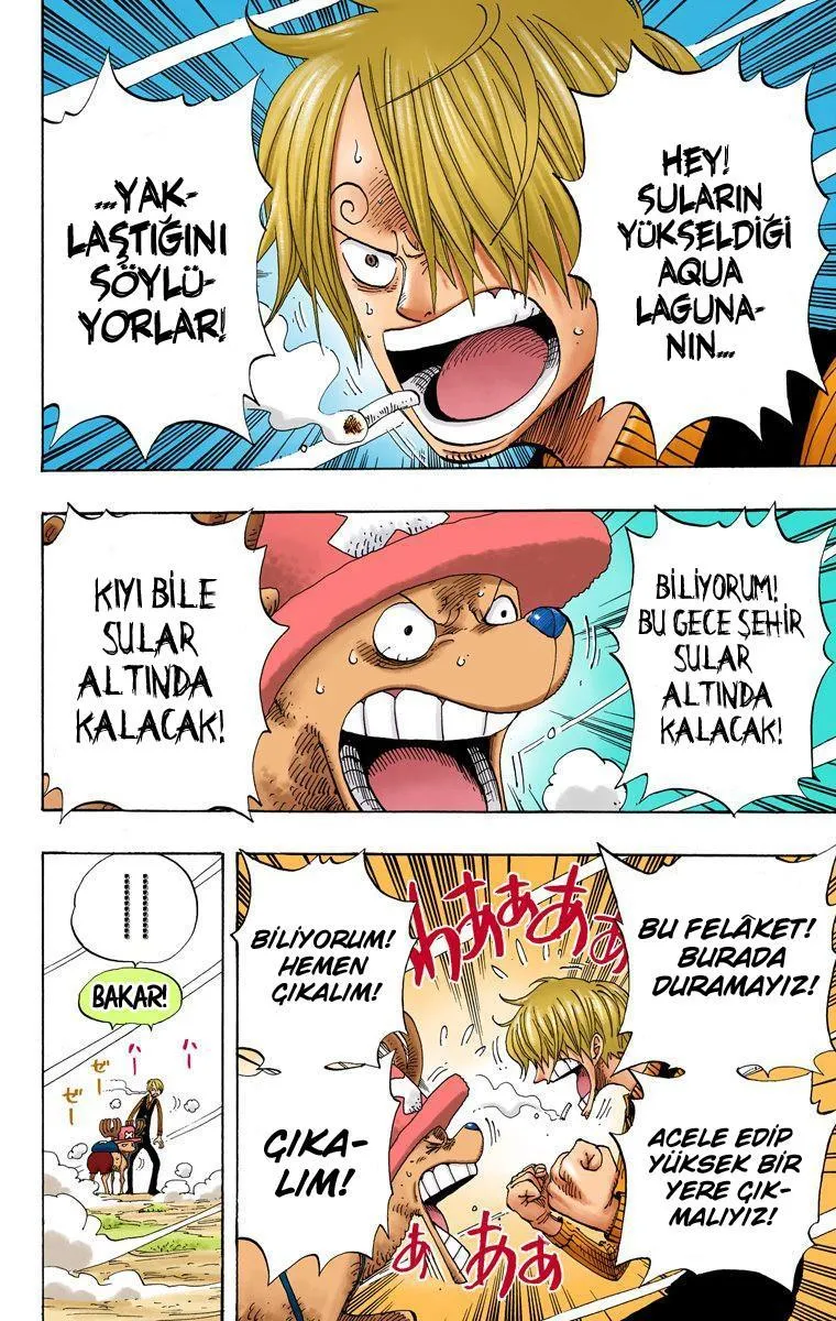 One Piece [Renkli] - Sayfa 3