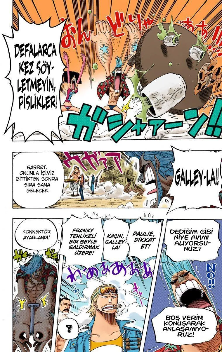 One Piece [Renkli] - Sayfa 13