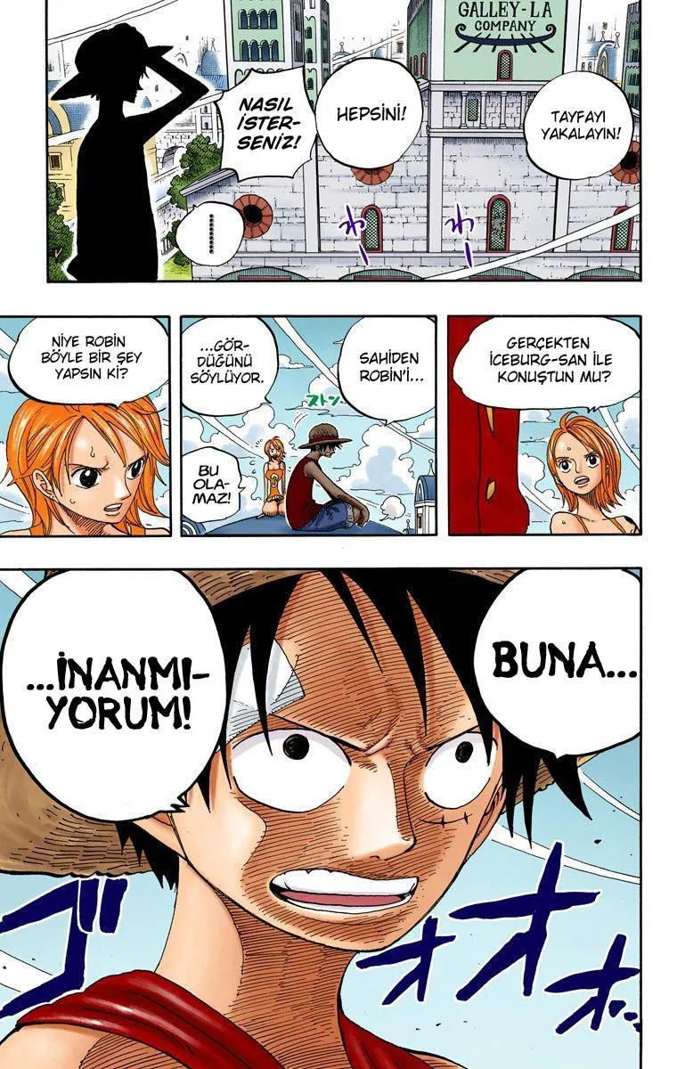 One Piece [Renkli] - Sayfa 12