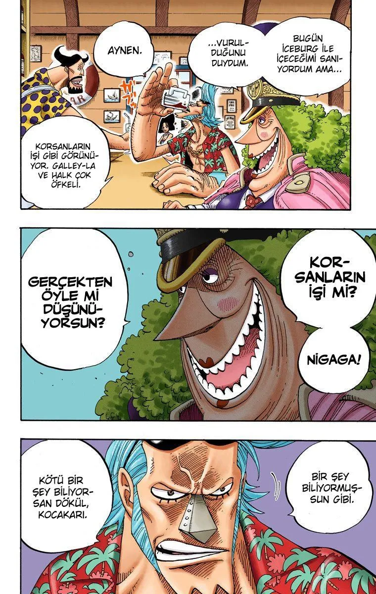 One Piece [Renkli] - Sayfa 17