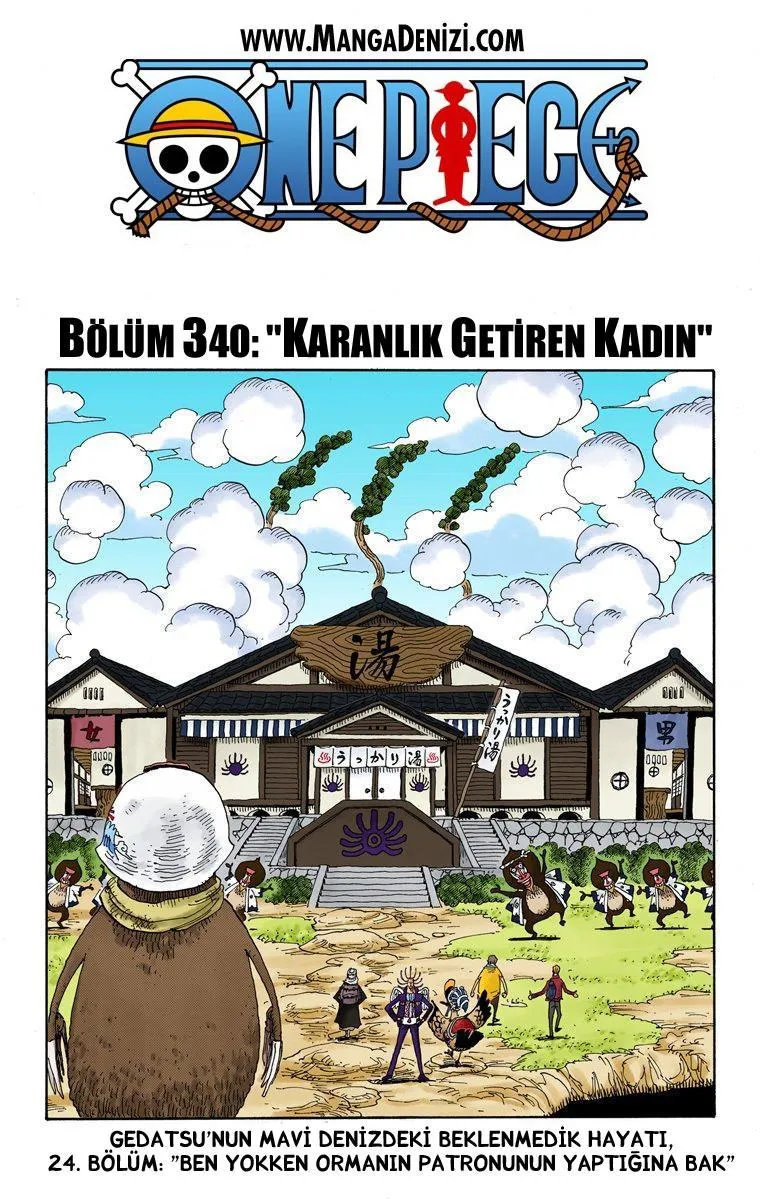 One Piece [Renkli] - Sayfa 2