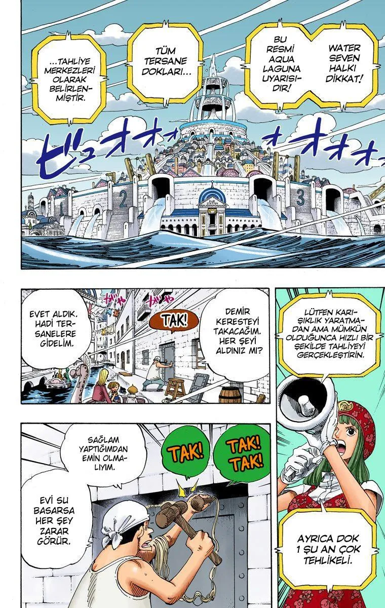 One Piece [Renkli] - Sayfa 5