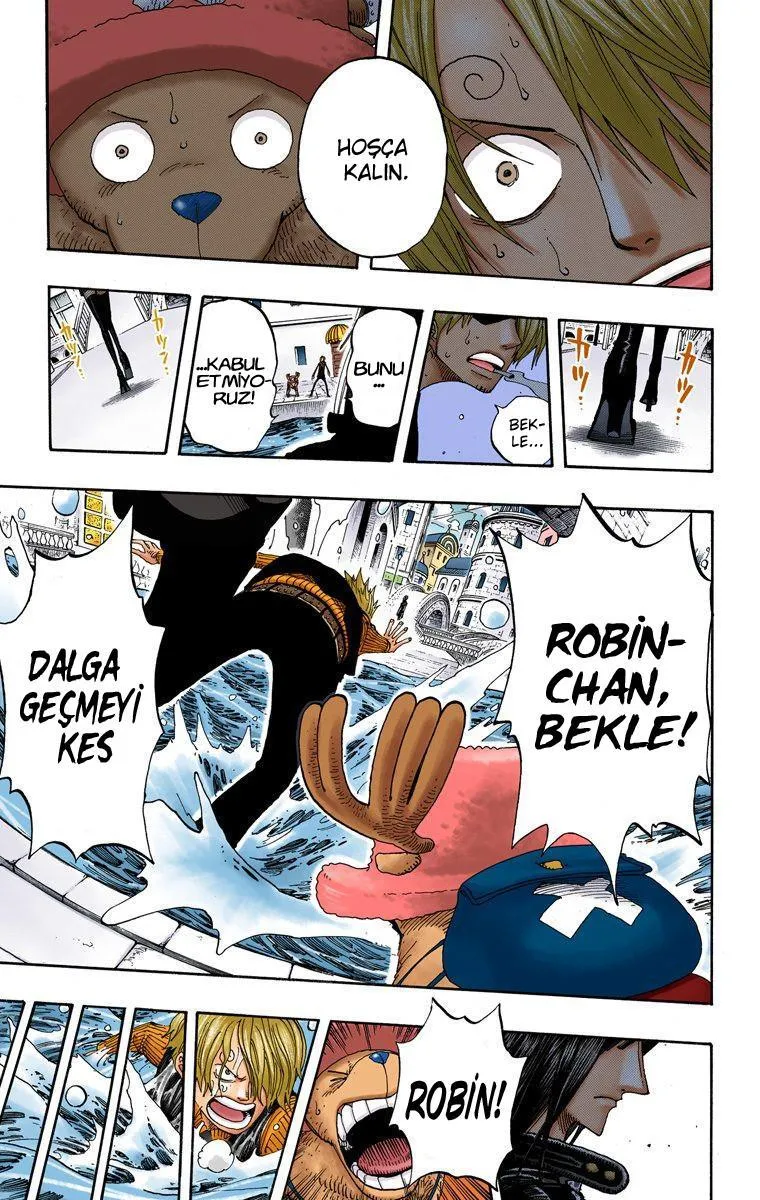 One Piece [Renkli] - Sayfa 16