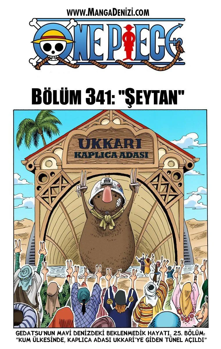 One Piece [Renkli] - Sayfa 2