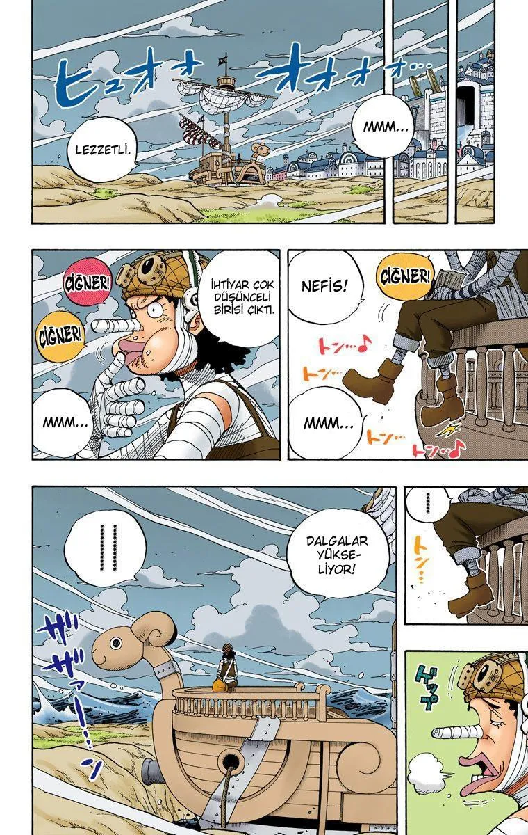 One Piece [Renkli] - Sayfa 11