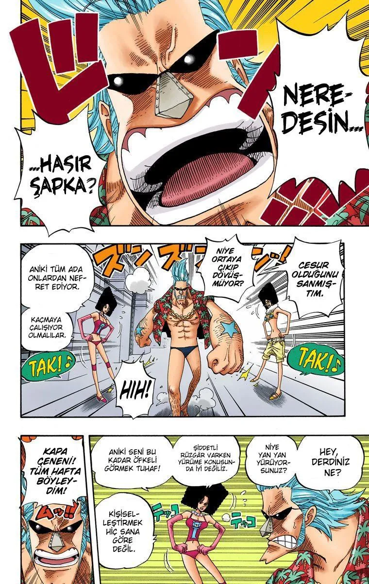 One Piece [Renkli] - Sayfa 3