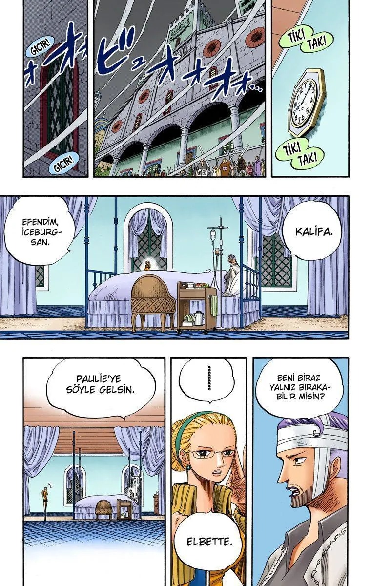 One Piece [Renkli] - Sayfa 8