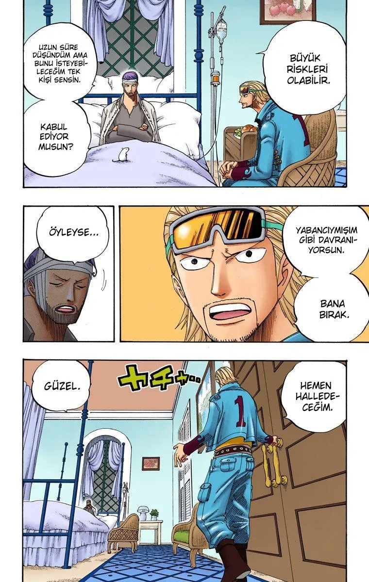 One Piece [Renkli] - Sayfa 11