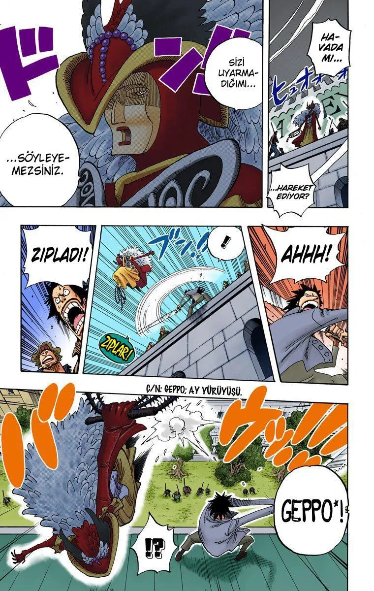 One Piece [Renkli] - Sayfa 6