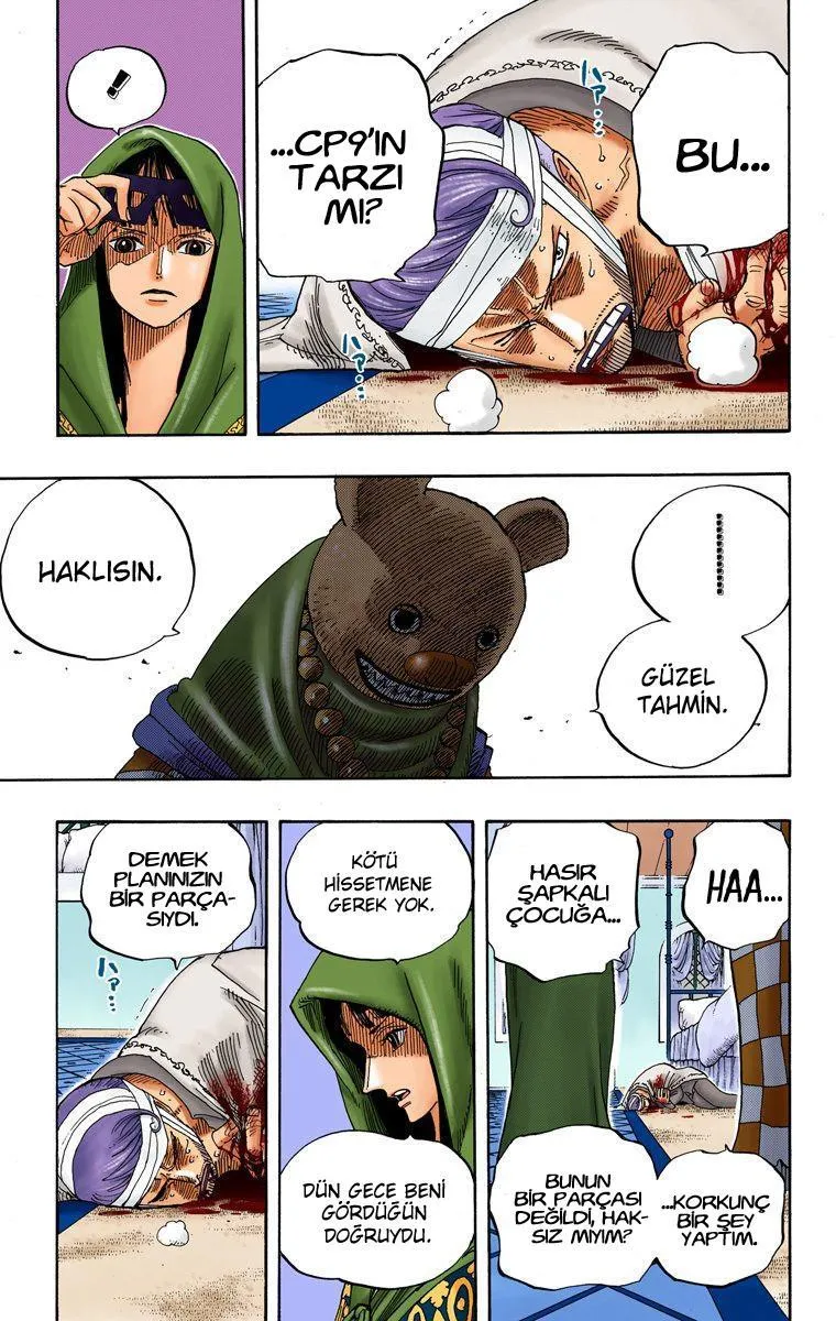 One Piece [Renkli] - Sayfa 14