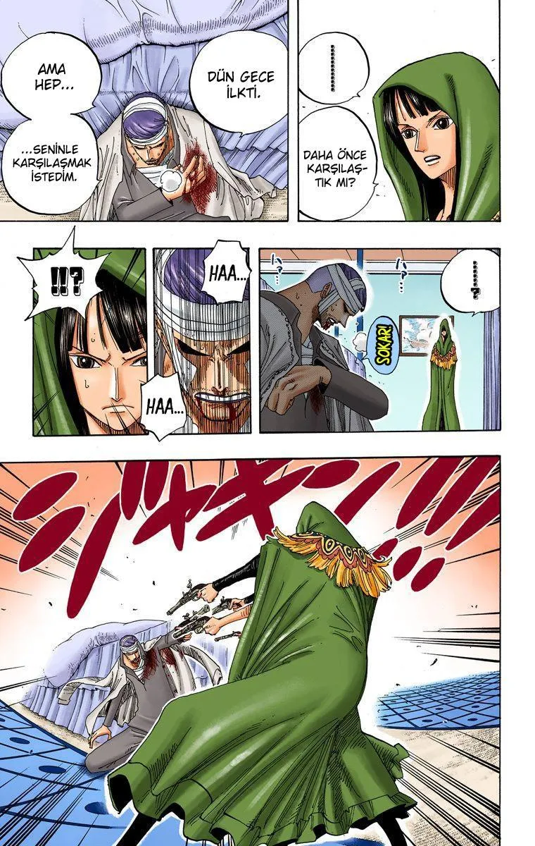 One Piece [Renkli] - Sayfa 10