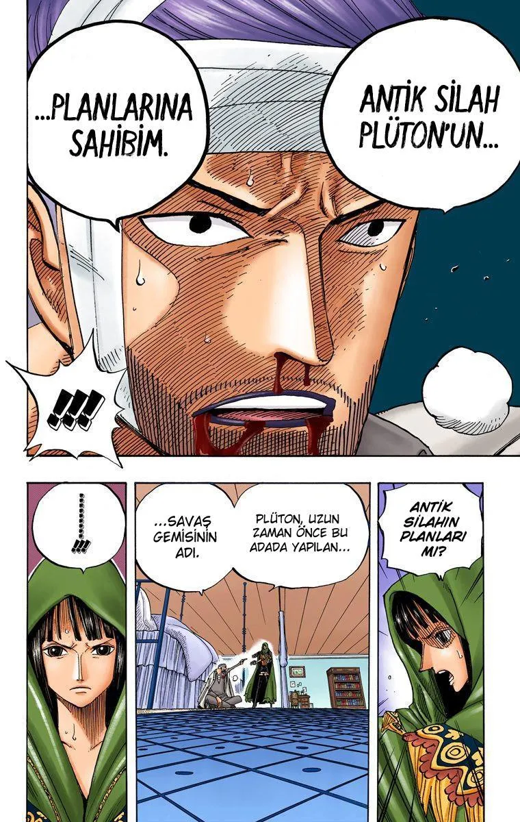 One Piece [Renkli] - Sayfa 15