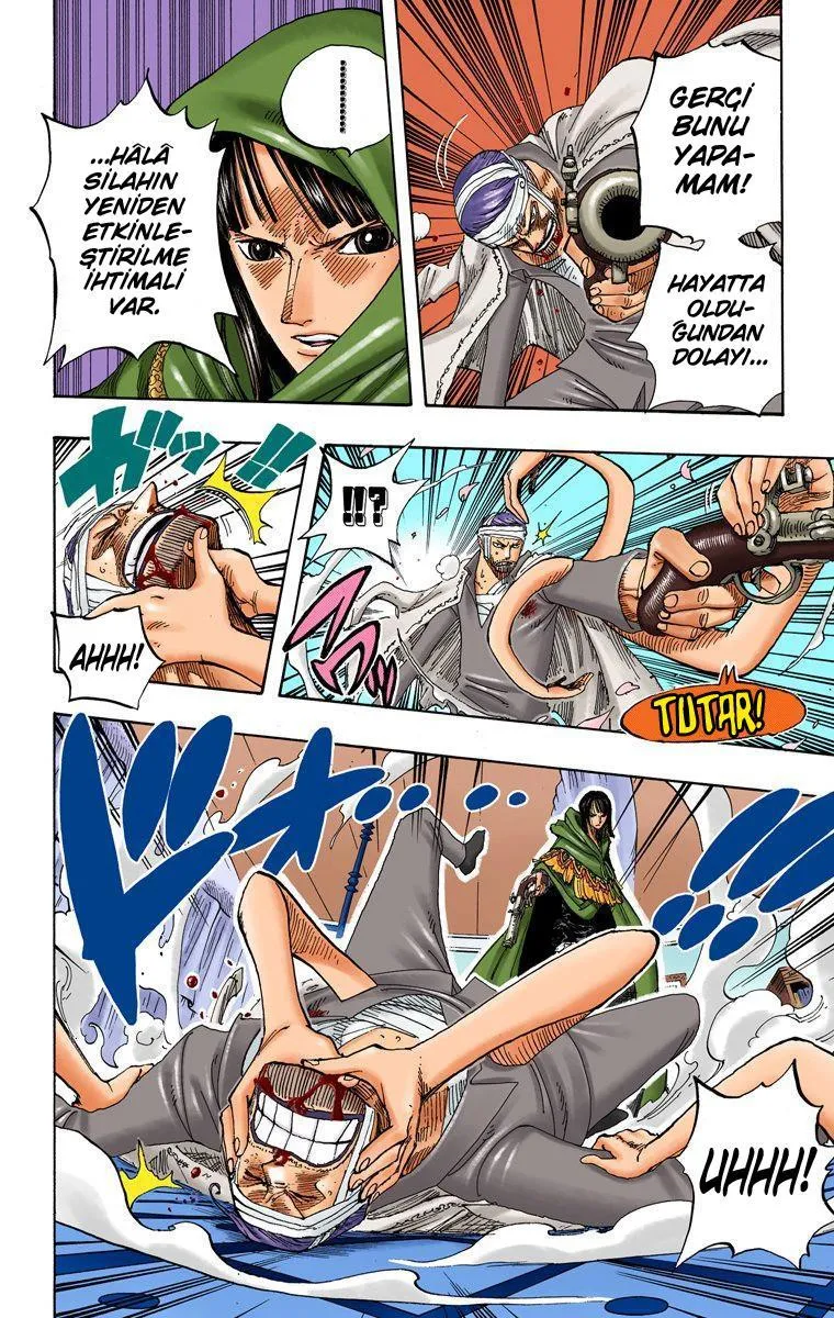 One Piece [Renkli] - Sayfa 17