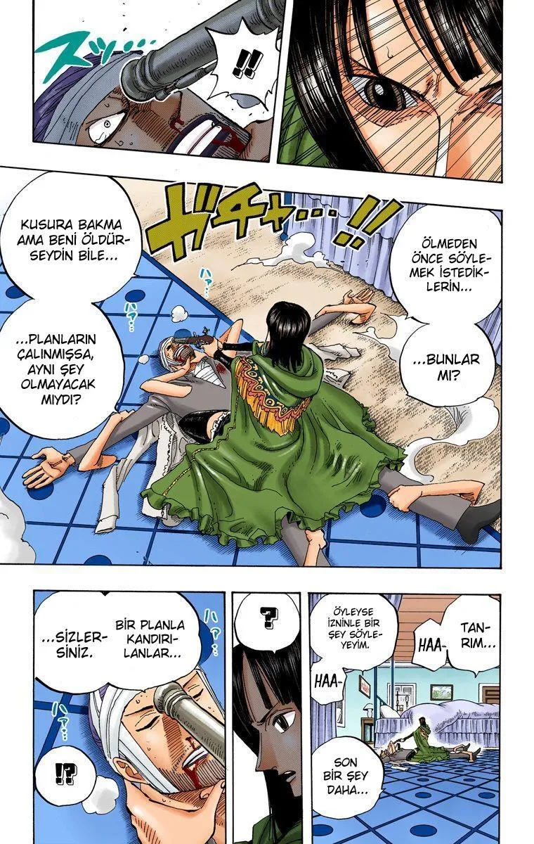 One Piece [Renkli] - Sayfa 18