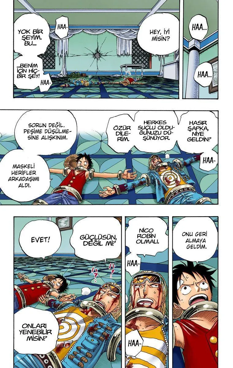 One Piece [Renkli] - Sayfa 12