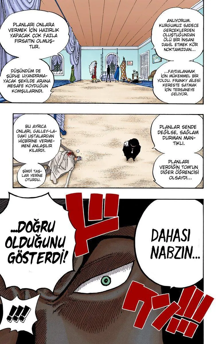 One Piece [Renkli] - Sayfa 16