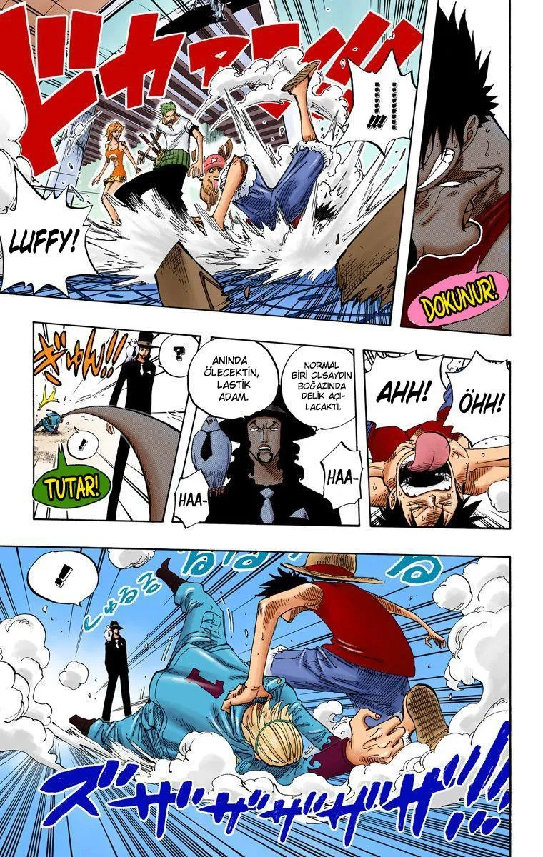 One Piece [Renkli] - Sayfa 13
