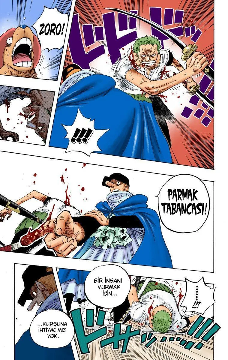 One Piece [Renkli] - Sayfa 14