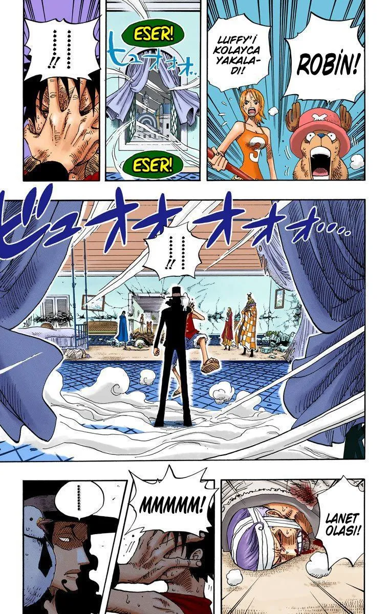 One Piece [Renkli] - Sayfa 16