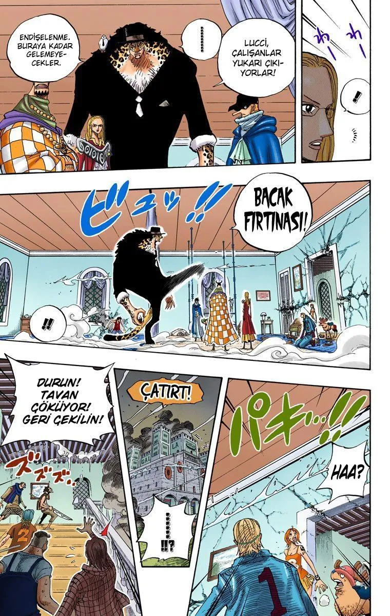 One Piece [Renkli] - Sayfa 7