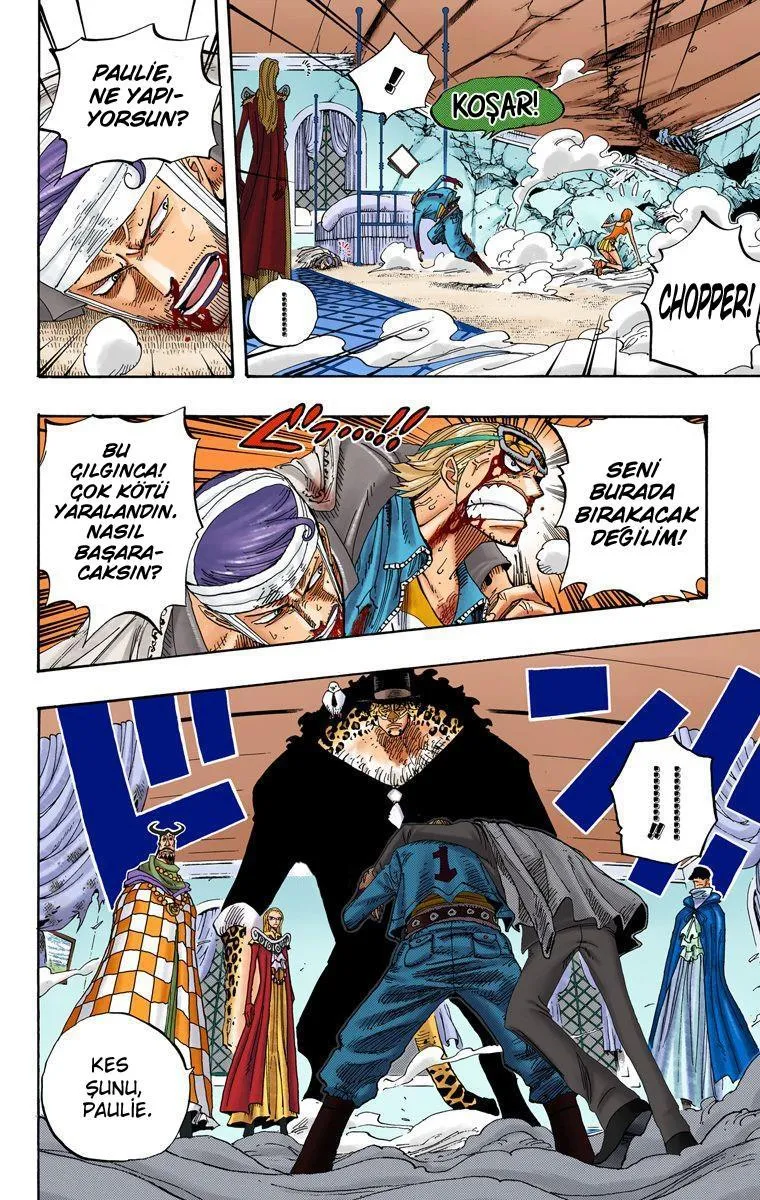 One Piece [Renkli] - Sayfa 9