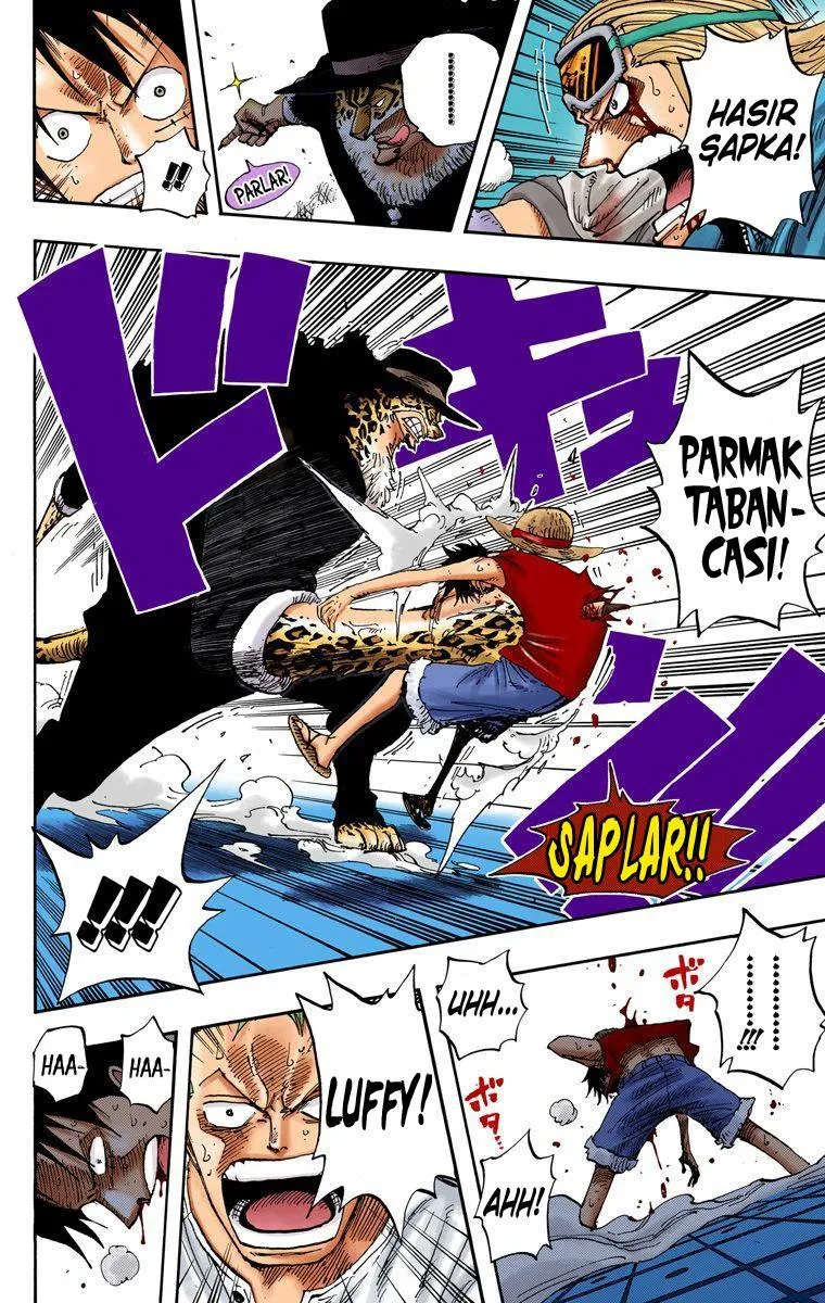 One Piece [Renkli] - Sayfa 11