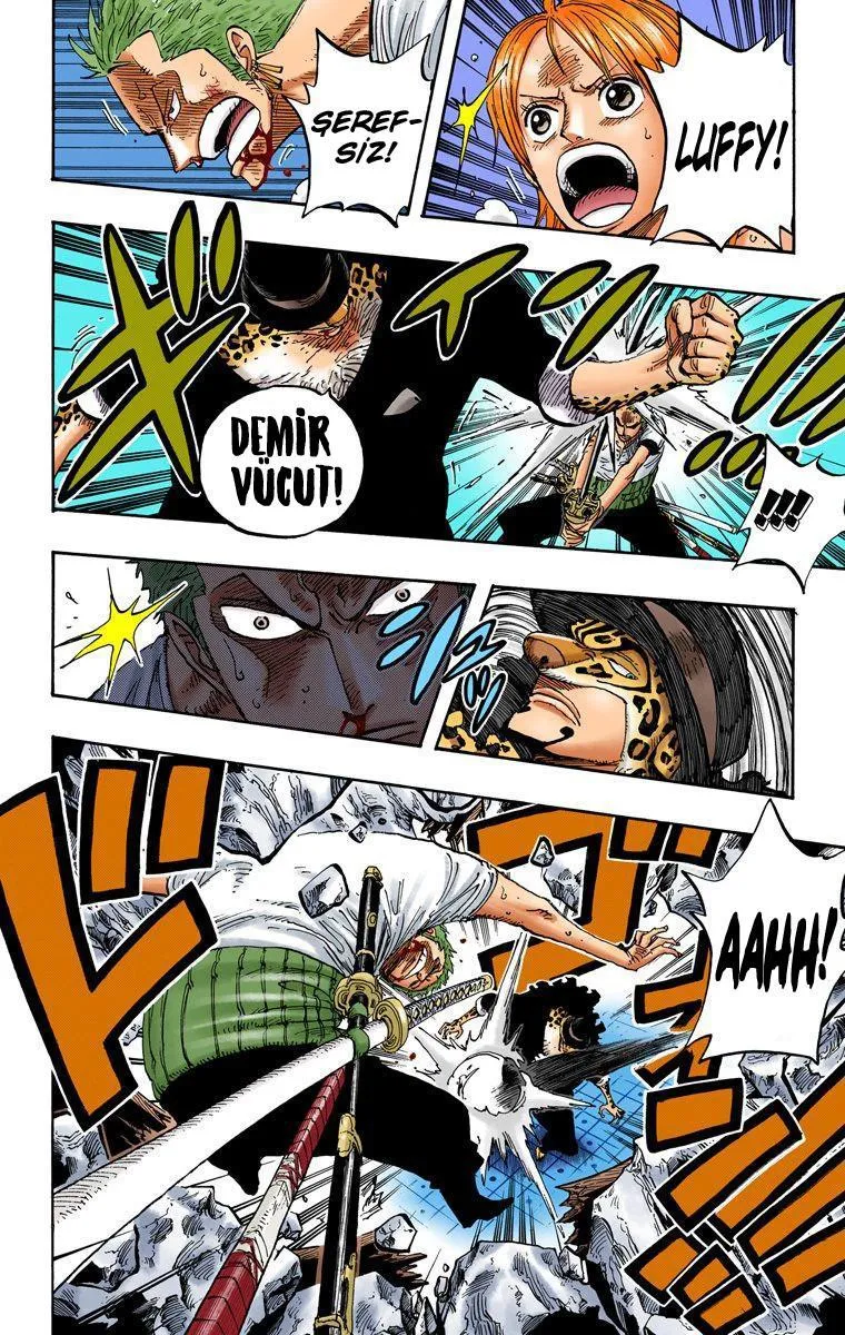 One Piece [Renkli] - Sayfa 13